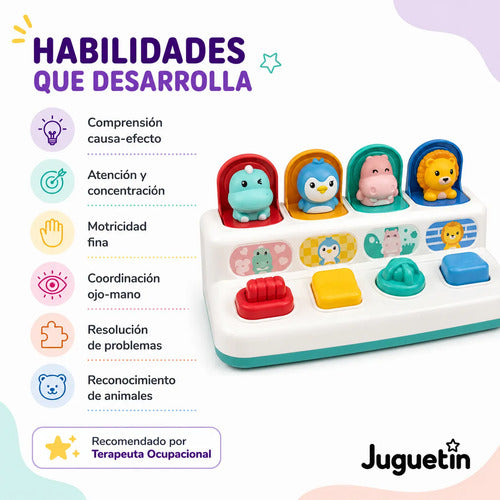 Juguete Interactivo Pop-up Animales Educativo Sensorial Bebe